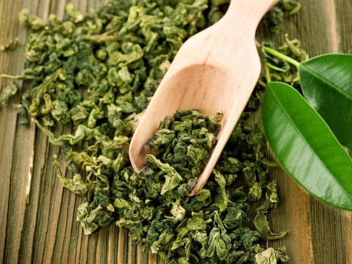 Green Tea Leaf Extract